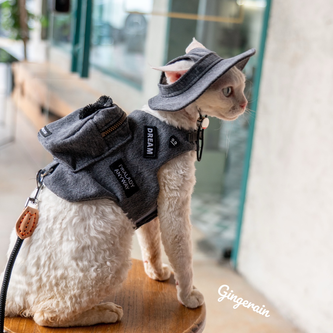 Luxury Bags Cute - Роскошная дорожная переноска для кошек ручной