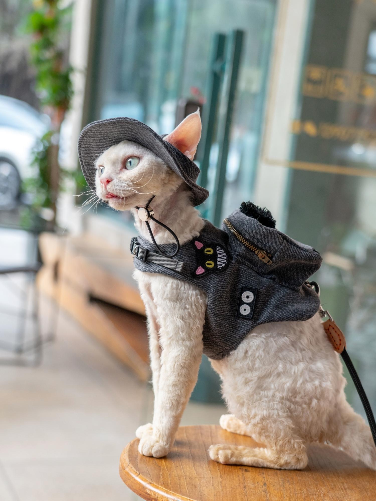 Роскошная дорожная переноска д – обзор и цена Luxury Bags Cute