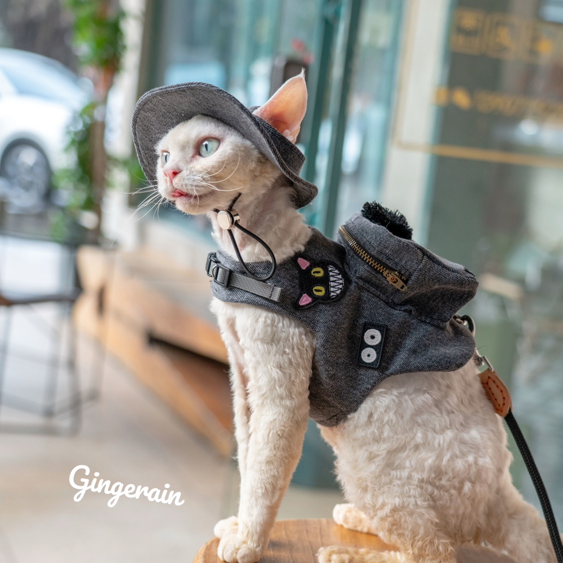 Роскошная дорожная переноска д – обзор и цена Luxury Bags Cute