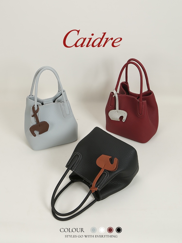 Роскошная сумка-тоут Caidre 20 – обзор и цена Luxury Bags Korea