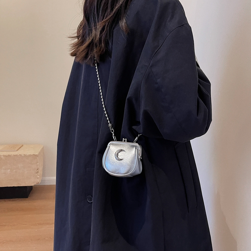Серебряные мини-милые сумки че – обзор и цена Luxury Bags Cute